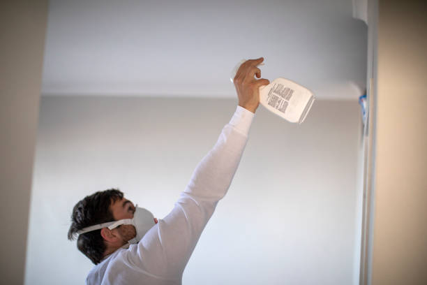 Best Mold Remediation  in St Regis Park, KY