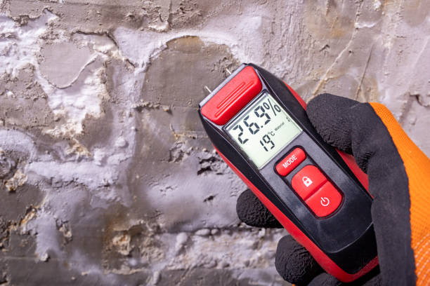 Best Toxic Mold Removal  in St Regis Park, KY