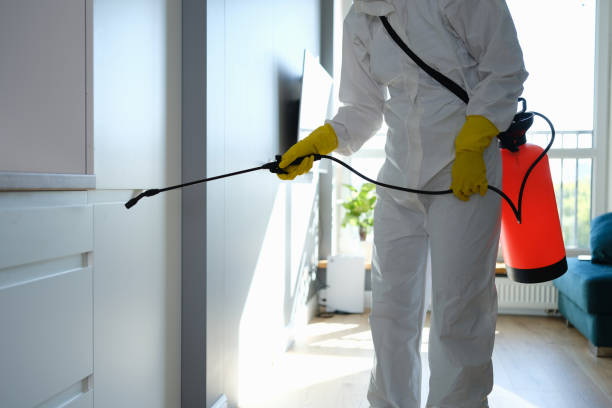 Best Commercial Mold Removal  in St Regis Park, KY