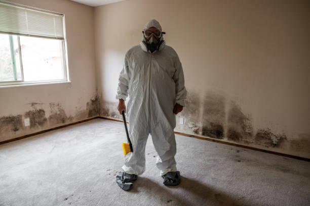 Best Residential Mold Removal  in St Regis Park, KY